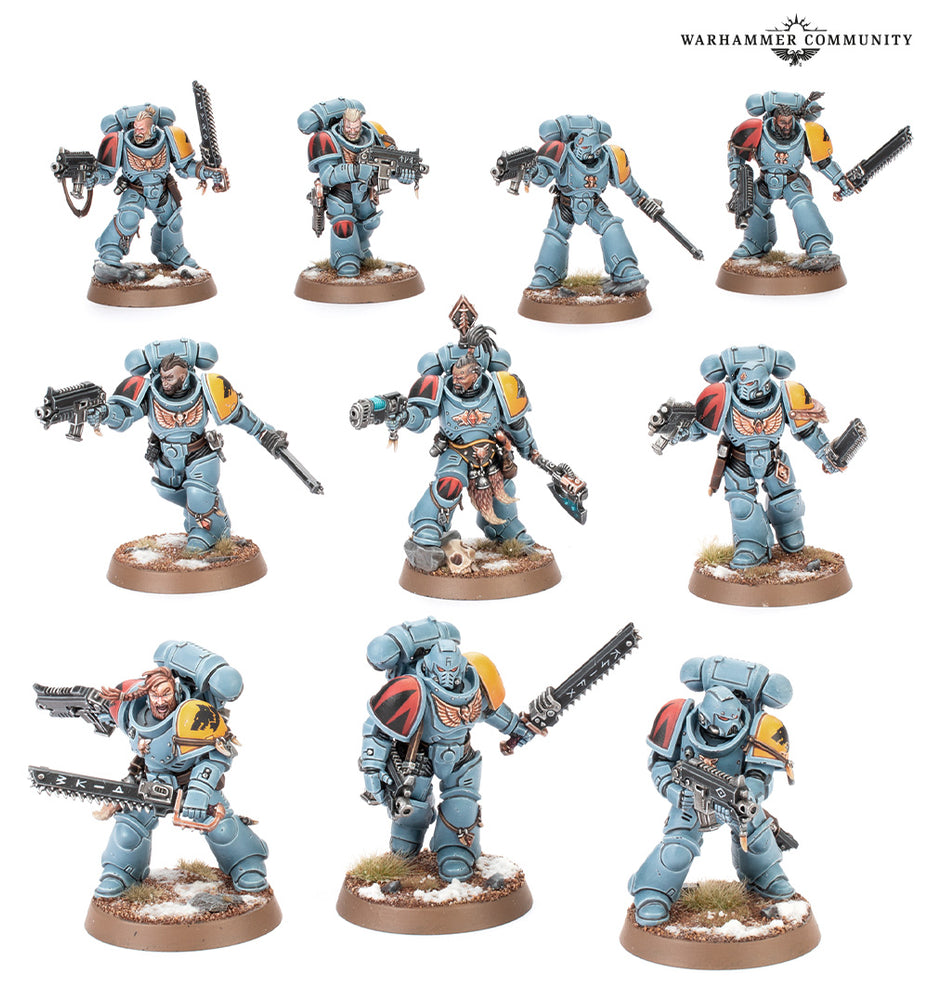Space Wolves: Grey Hunters